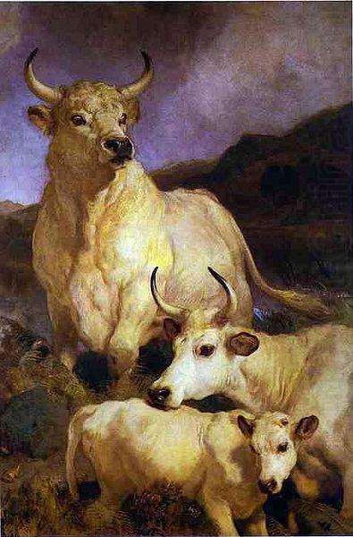 Sir edwin henry landseer,R.A. The wild cattle of Chillingham, 1867 oil painting picture